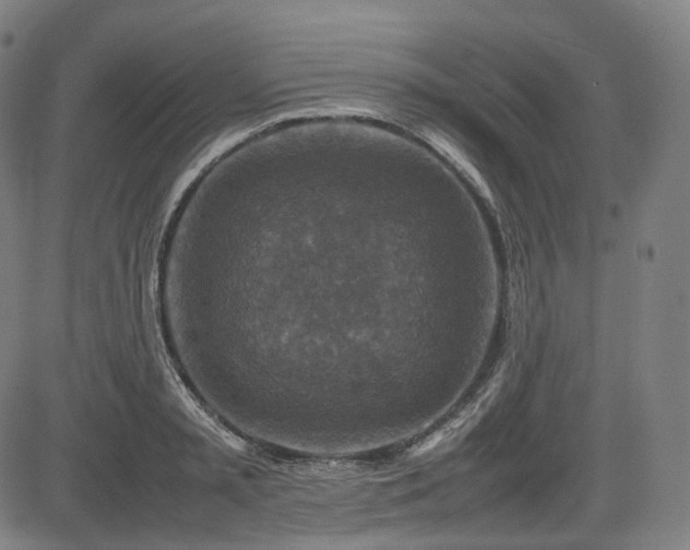 X0000085270797200703091350