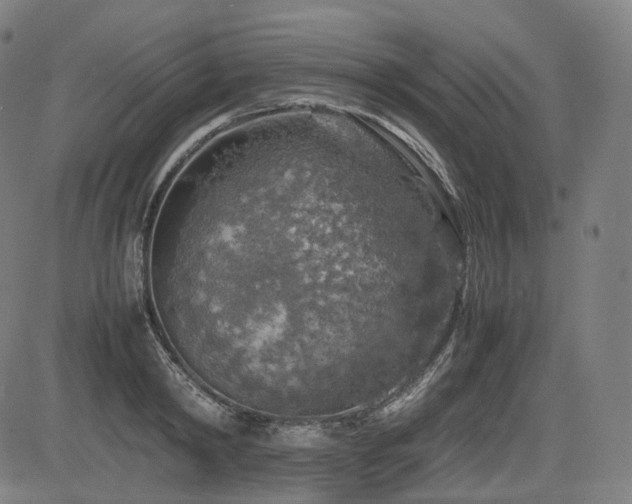 X0000085270798200703091350