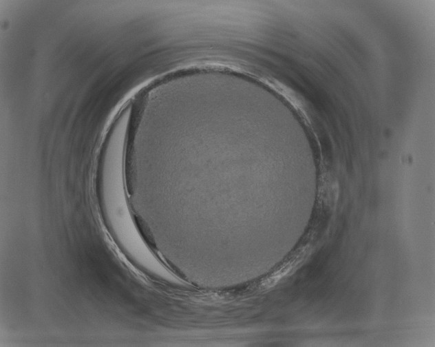 X0000085270799200703091350