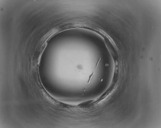 X0000085270801200703091350