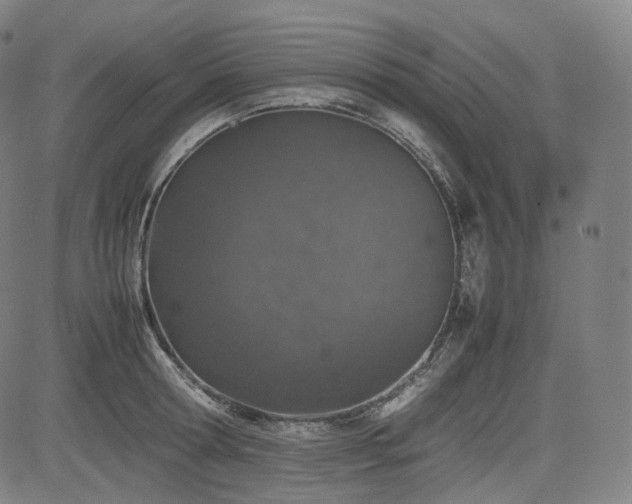 X0000085270802200703091350