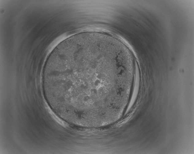 X0000085270803200703091350