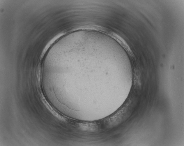 X0000085270804200703091350