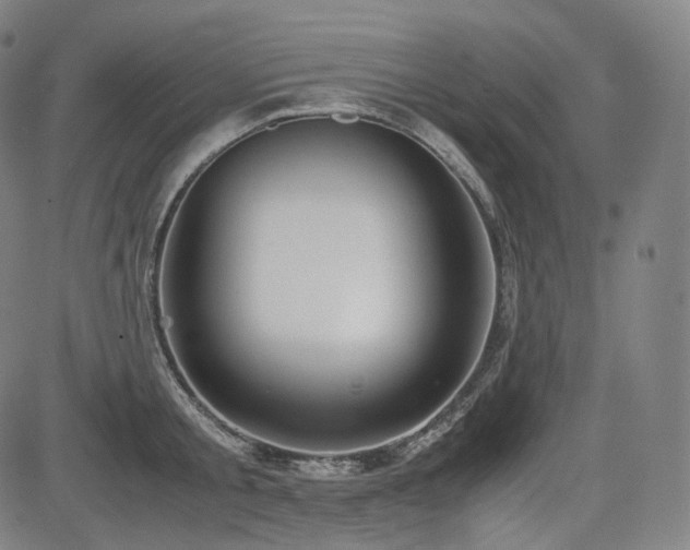 X0000085270805200703091350