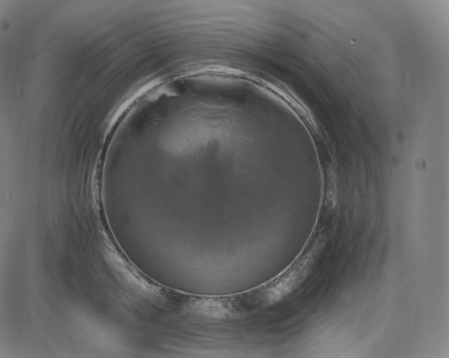 X0000085270806200703091350