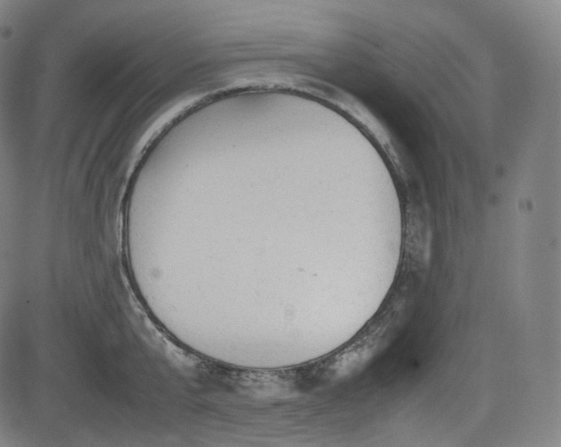 X0000085270807200703091350