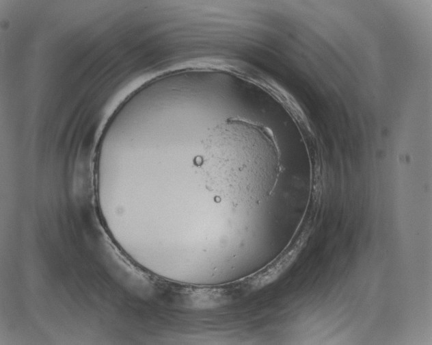 X0000085270808200703091350