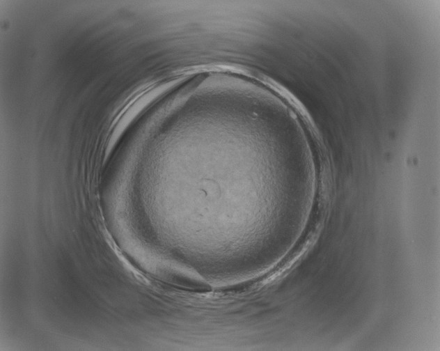 X0000085270809200703091350