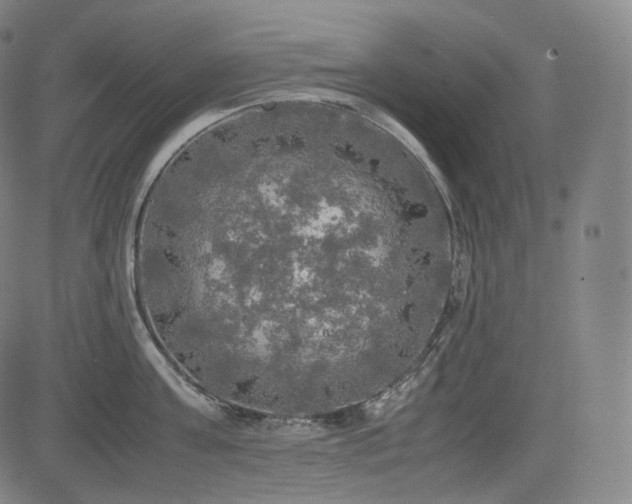 X0000085270811200703091350