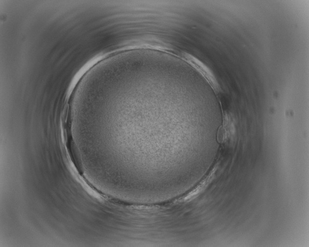 X0000085270812200703091350