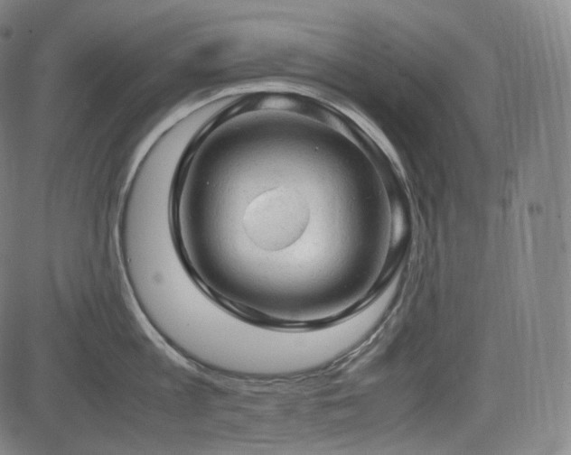 X0000085270813200703091350