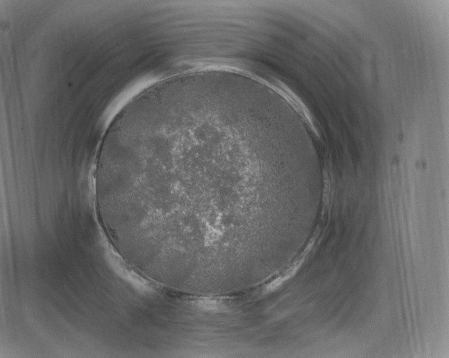 X0000085270814200703091350