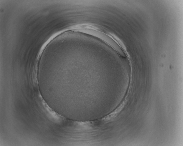 X0000085270816200703091350