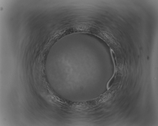 X0000085270817200703091349