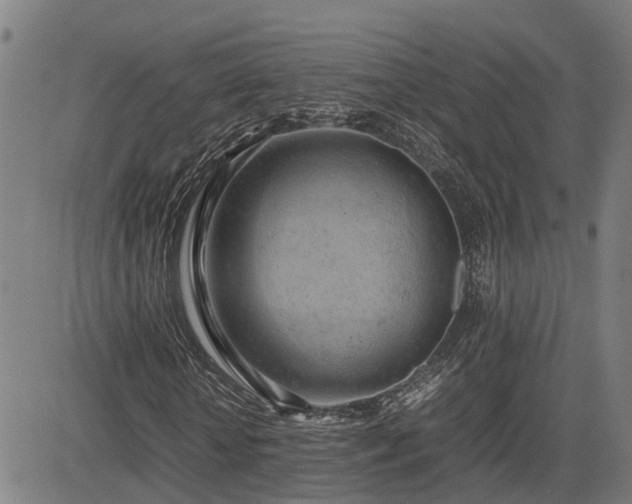 X0000085270818200703091349