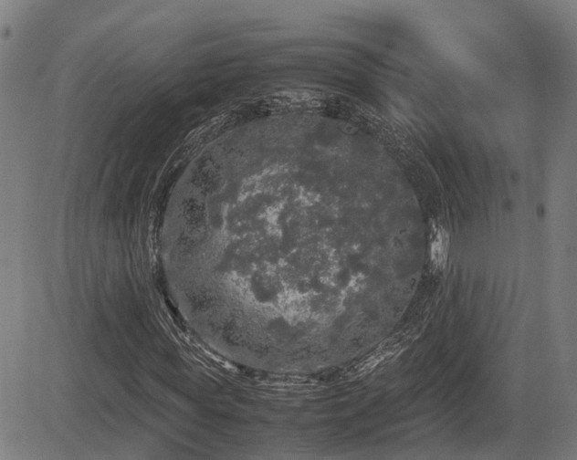 X0000085270819200703091349