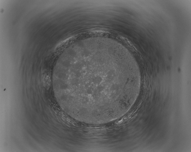 X0000085270821200703091349