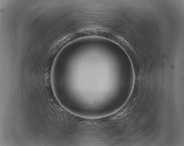 X0000085270822200703091349