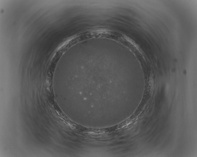 X0000085270823200703091349