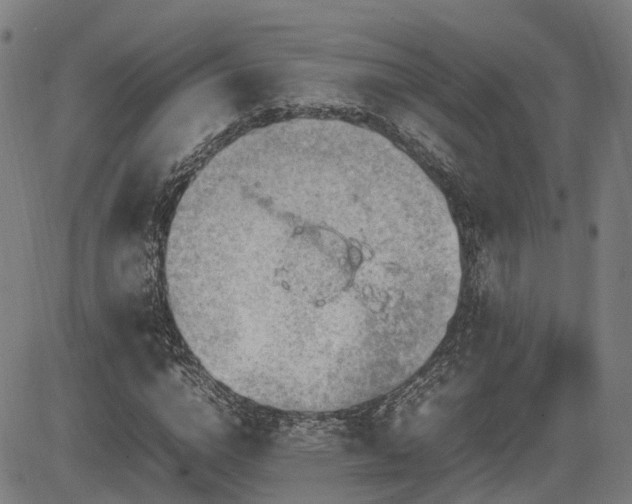 X0000085270824200703091349