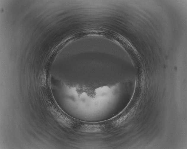 X0000085270825200703091349