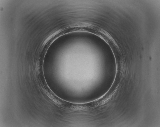 X0000085270826200703091349