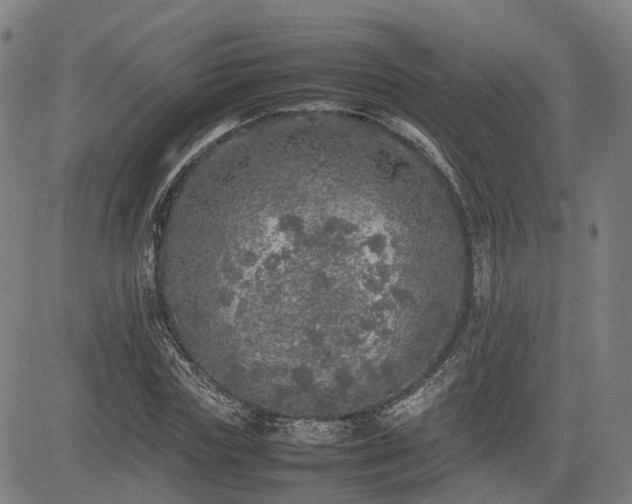 X0000085270827200703091349