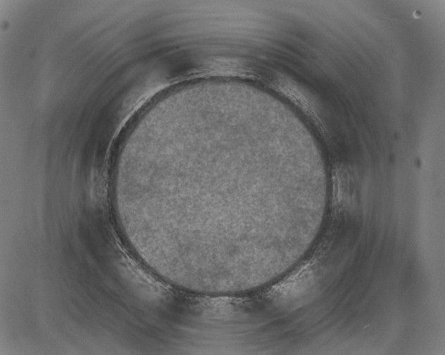 X0000085270828200703091349