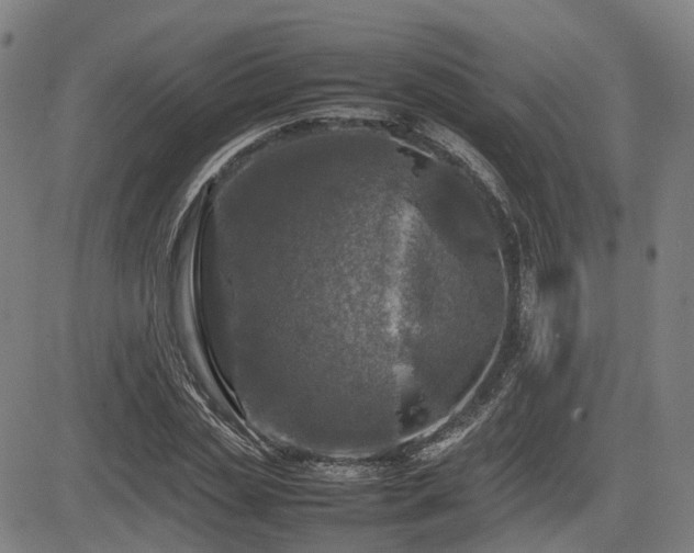 X0000085270829200703091350