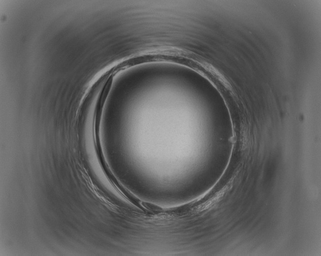 X0000085270830200703091350