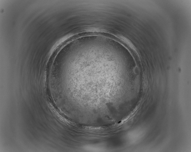 X0000085270831200703091350