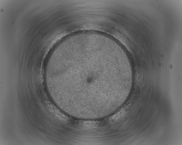 X0000085270832200703091350