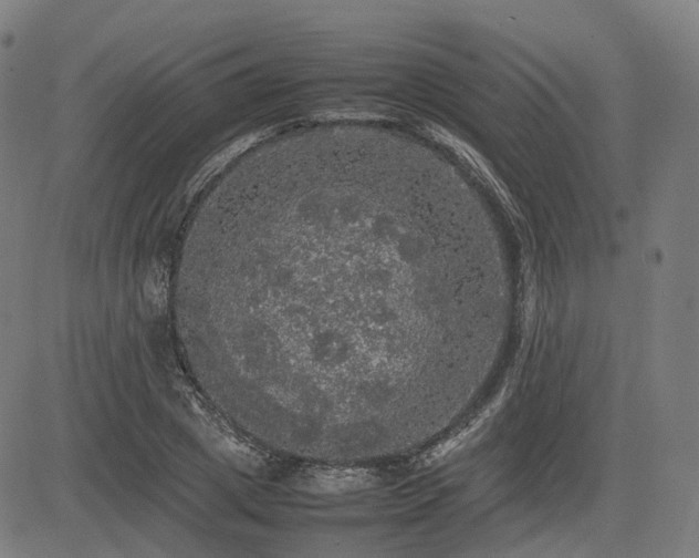 X0000085270833200703091350