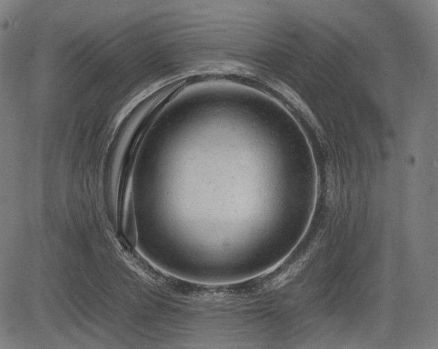 X0000085270834200703091350