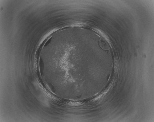 X0000085270835200703091350