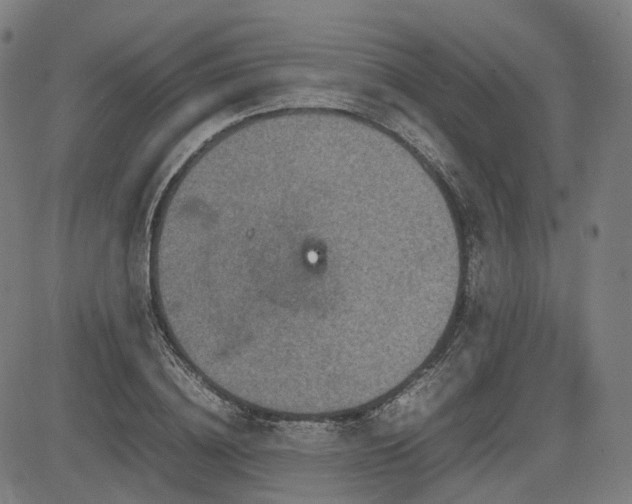 X0000085270836200703091350