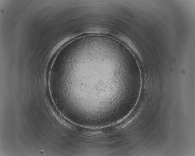 X0000085270837200703091350