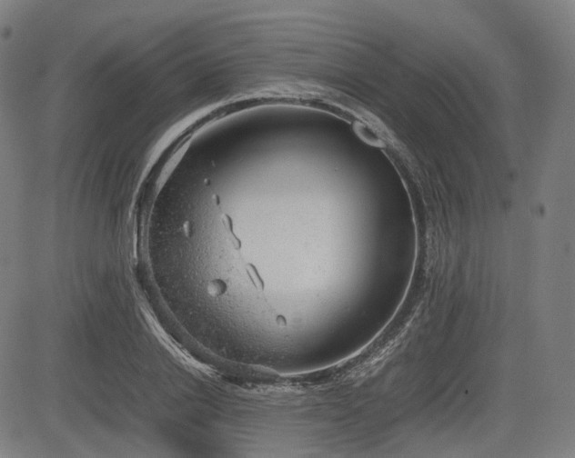 X0000085270838200703091350