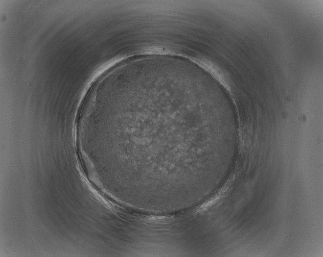 X0000085270839200703091350