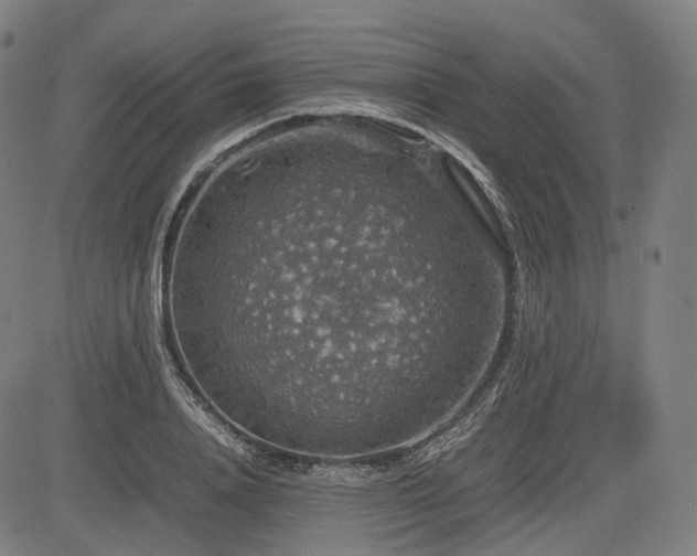 X0000085270840200703091350