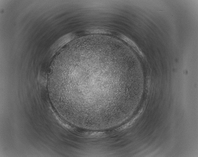 X0000085270841200703091350