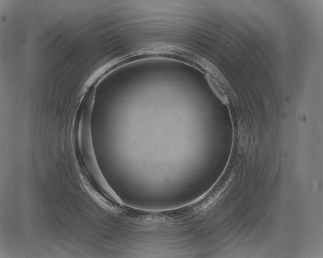 X0000085270842200703091350