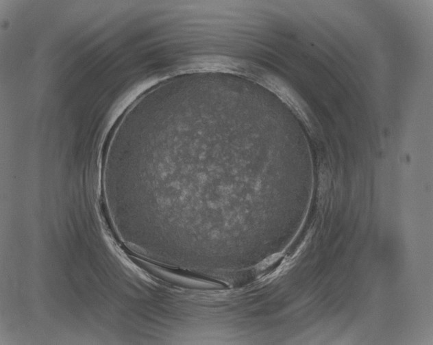 X0000085270844200703091350