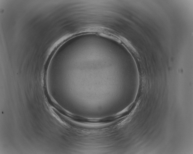 X0000085270846200703091350