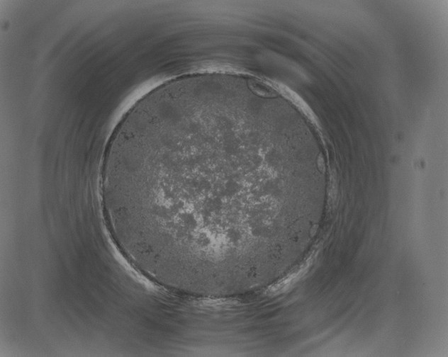 X0000085270847200703091350