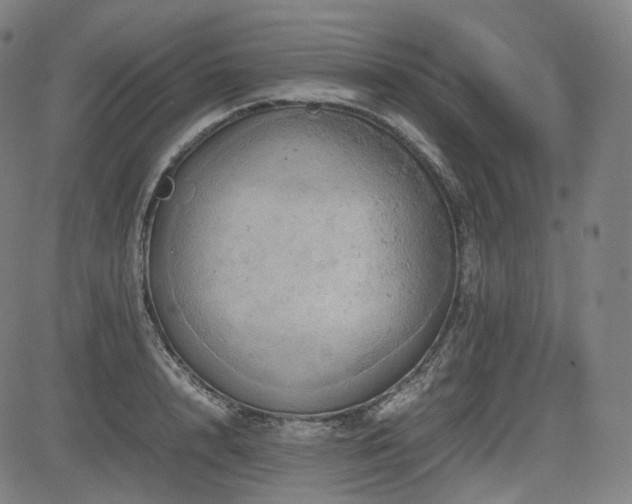 X0000085270848200703091350