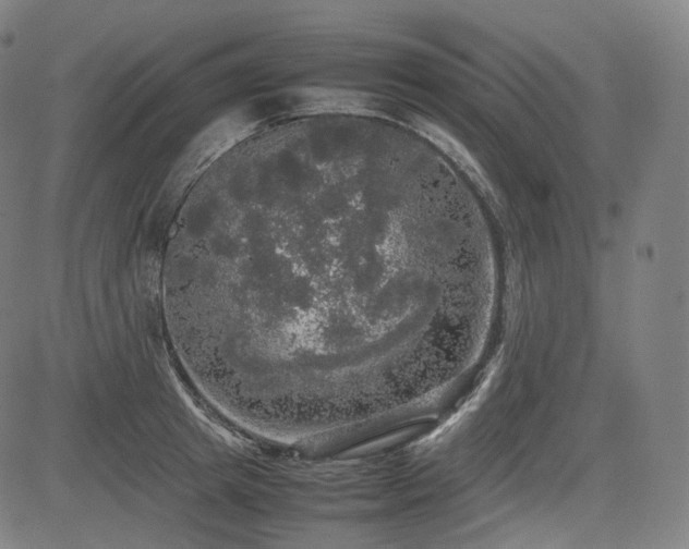 X0000085270849200703091350