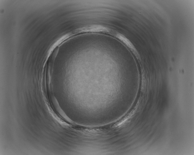 X0000085270850200703091350