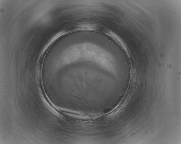 X0000085270851200703091350