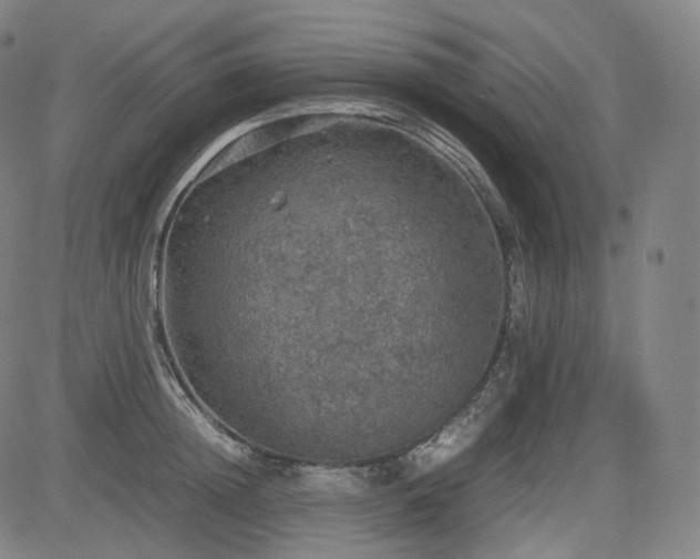 X0000085270852200703091350